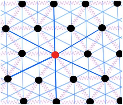 Competition Between Entropy and Energy in Network Glass: The Hidden Connection Between Intermediate Phase and Liquid-Liquid Transition